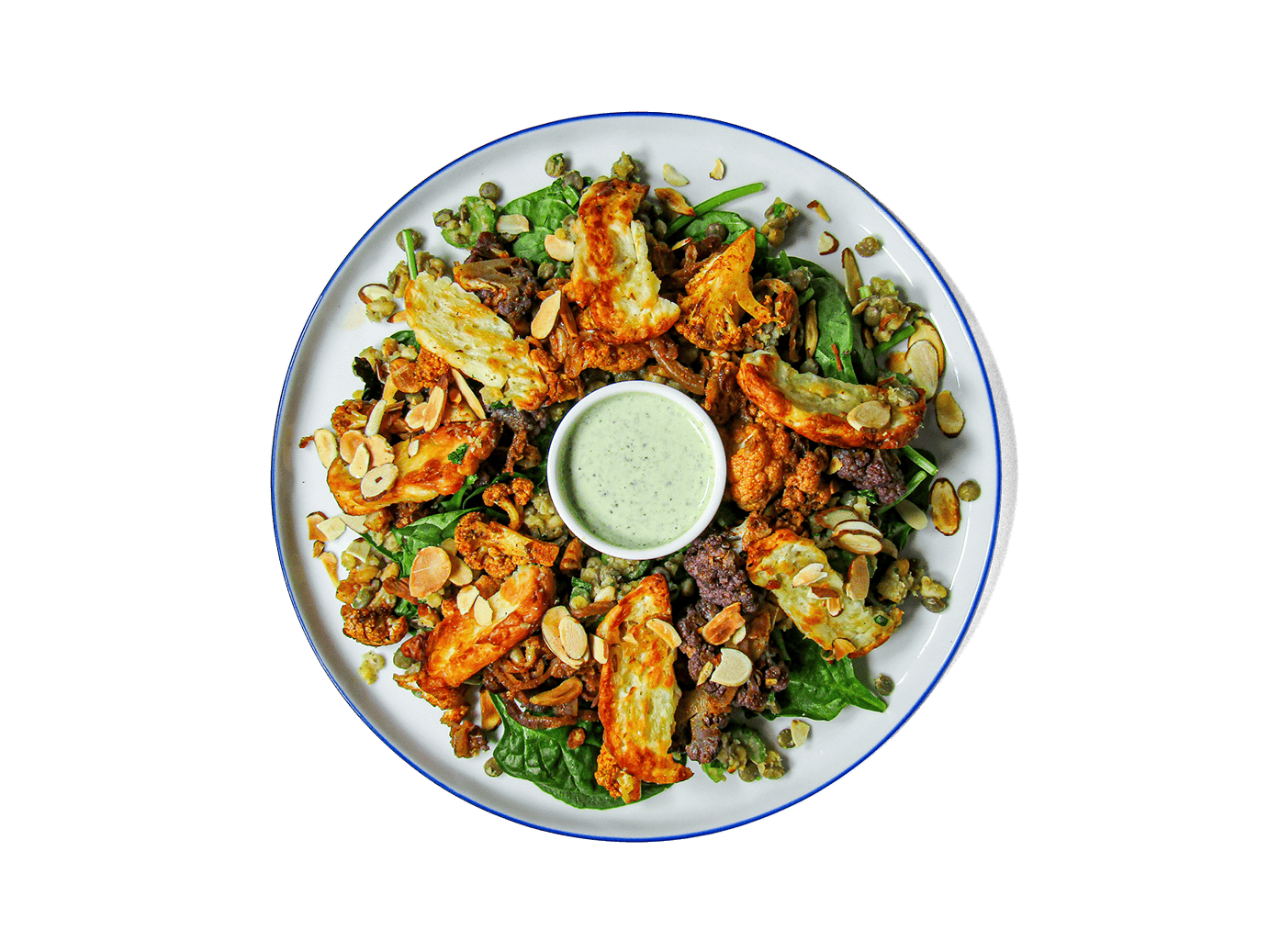 Lentil Cauliflower Veg Salad