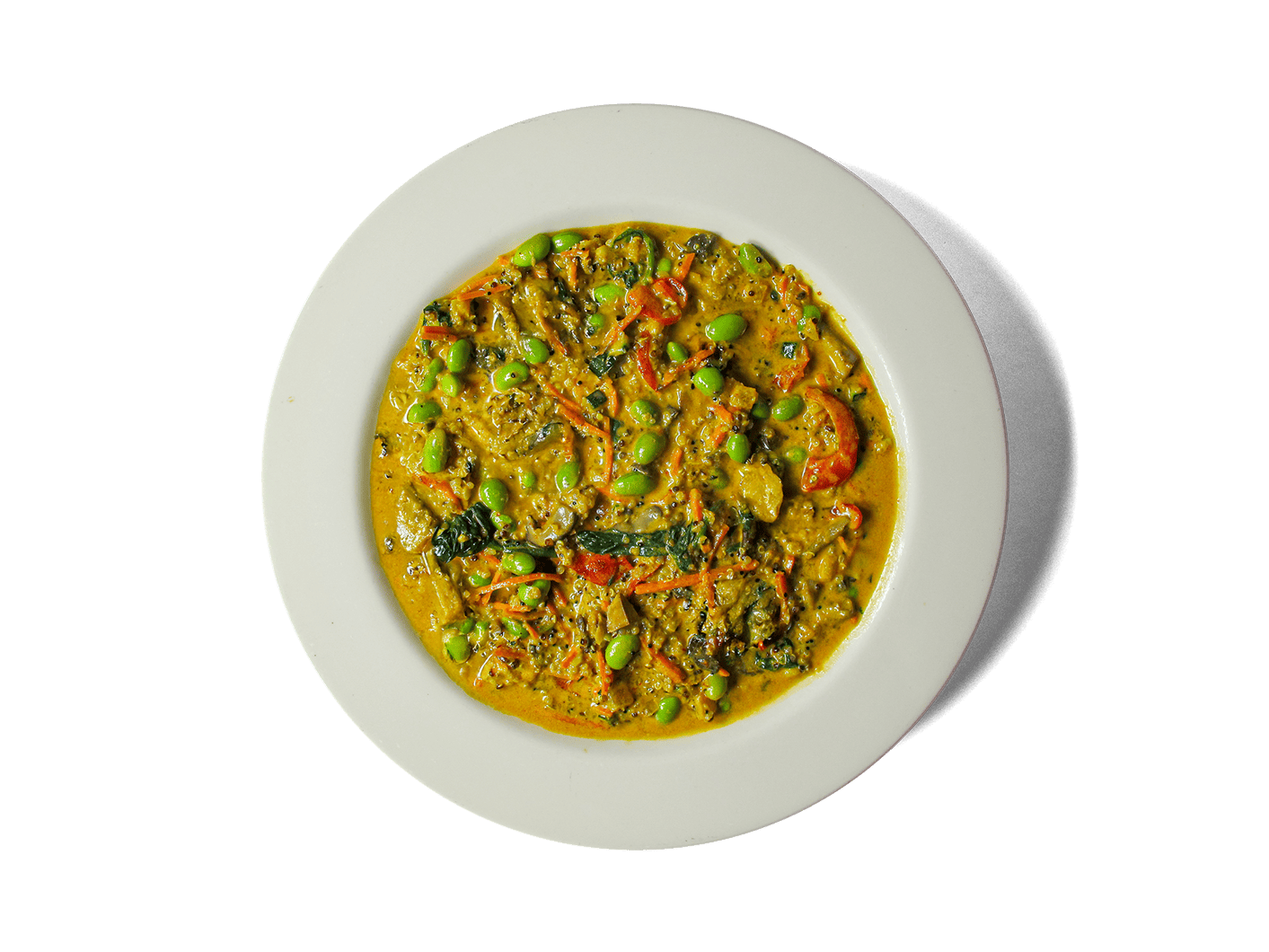 Organic Thai Coconut Chicken Curry Soup