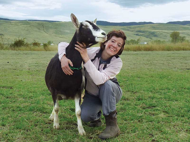 Laura Chenel Goat Cheese Banner