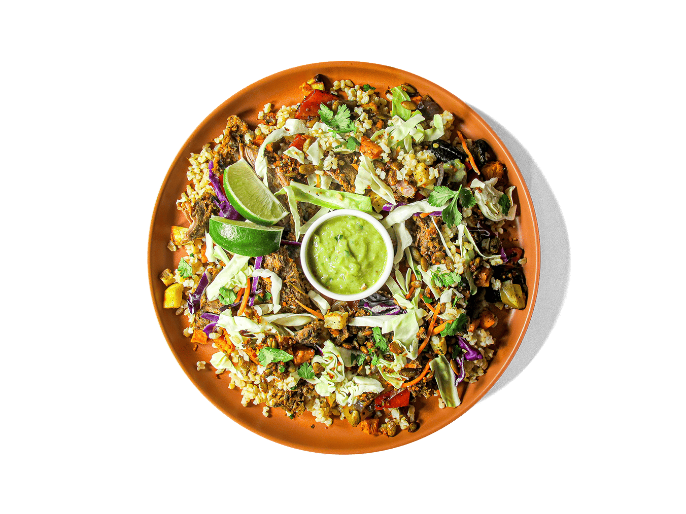 Image of Grass Fed Barbacoa Taco Bowl on a plate